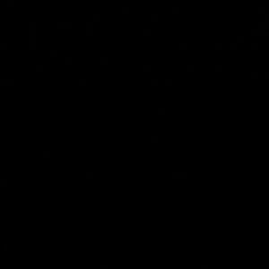 Meet your Posher, Benjamin